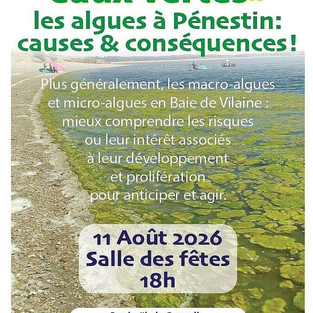 Conférence Marées vertes, eaux vertes, les algues à Pénestin : causes et conséquences