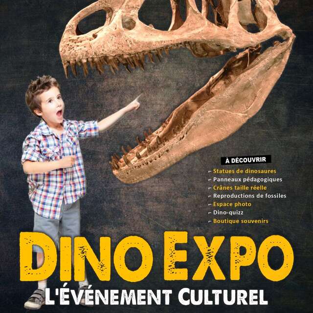 Dino Expo