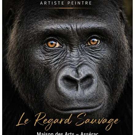 Exposition : Le regard sauvage