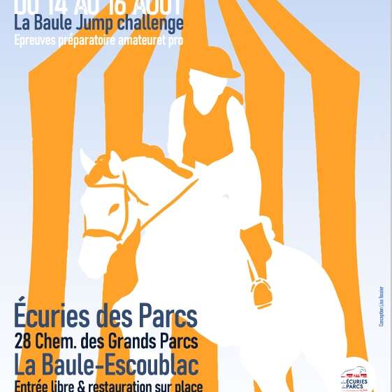 Concours de sauts d'obstacles