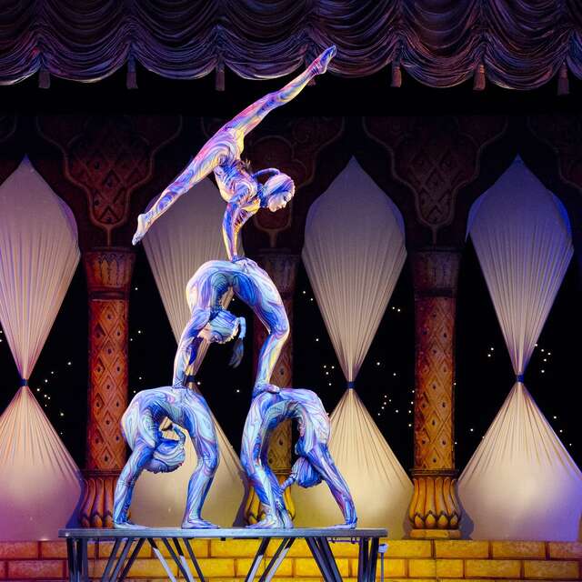 Stage - Cirque et acrobaties