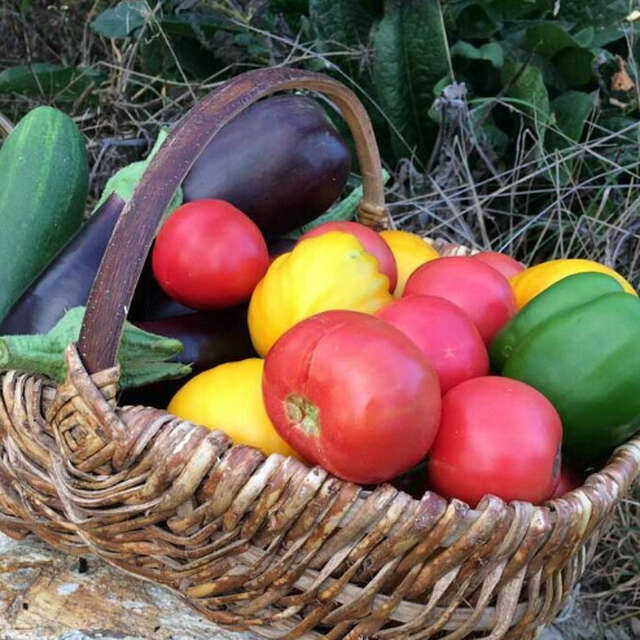 Week-end jardin nourricier