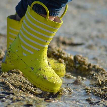 Sortie découverte de la pêche à pied