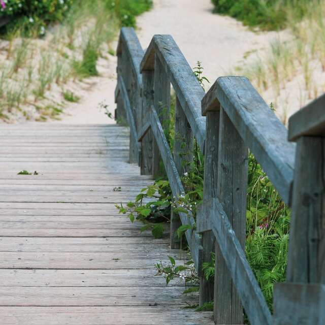 Sortie nature : Les landes de Pen-Bé
