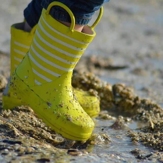 Sortie découverte de la pêche à pied et du littoral