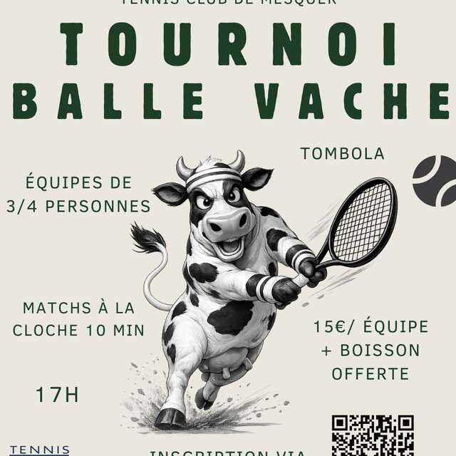 Tournoi balle vache