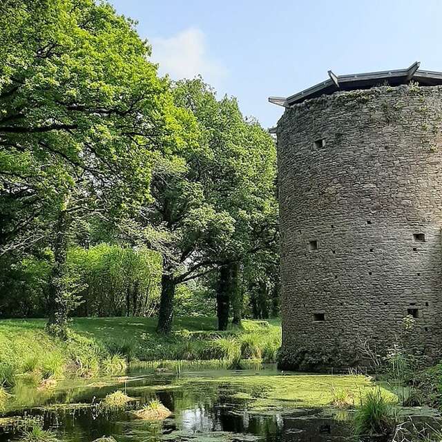 Visite Faune et Flore