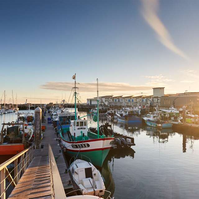 Visite guidée : le port de pêche de La Turballe