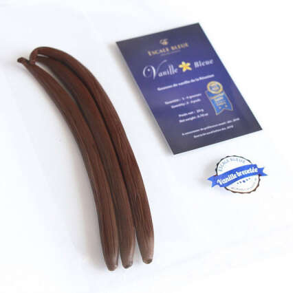 Escale Bleue - Atelier Vanille