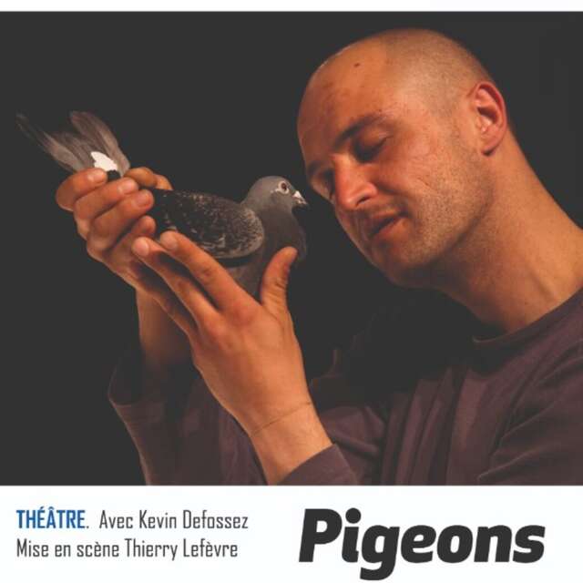 SPECTACLE | "Pigeons"par Kévin Defossez