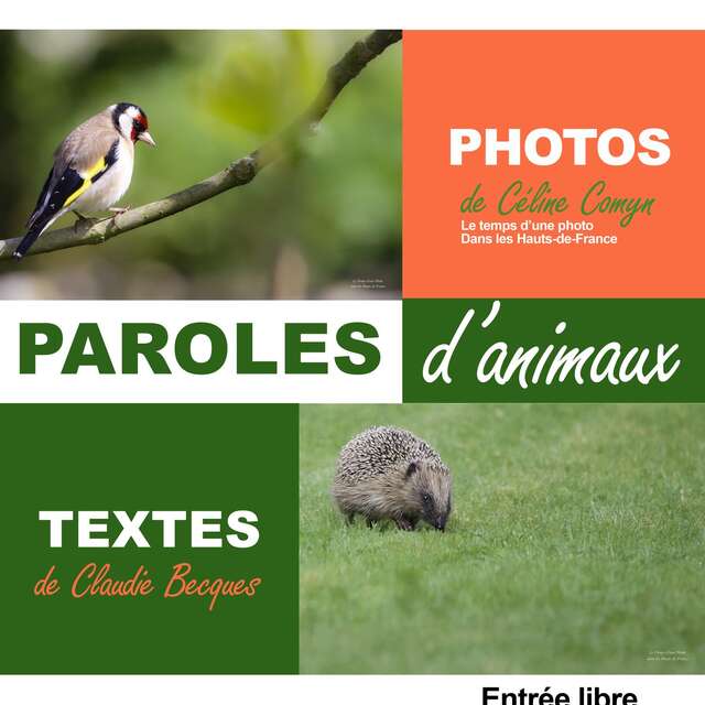 EXPO | Paroles d'animaux