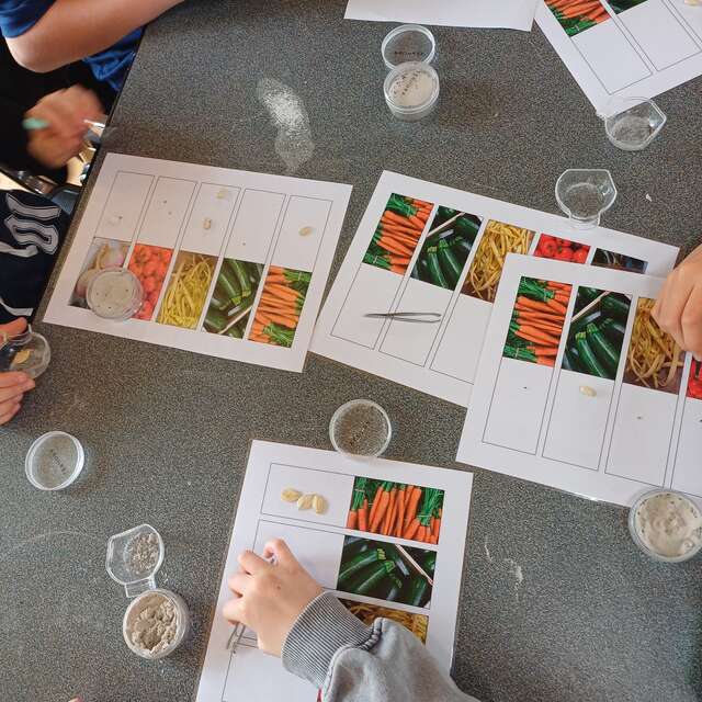 ATELIER 9 à 12 ans | Dans la peau d'un archéologue