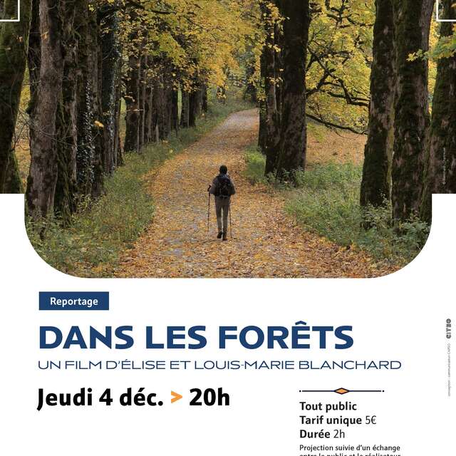 REPORTAGE | Dans les forêts