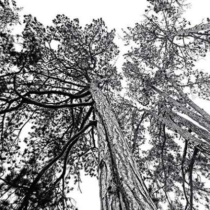 EXPO | Galerie Vandrotte d'Aire-sur-la-Lys