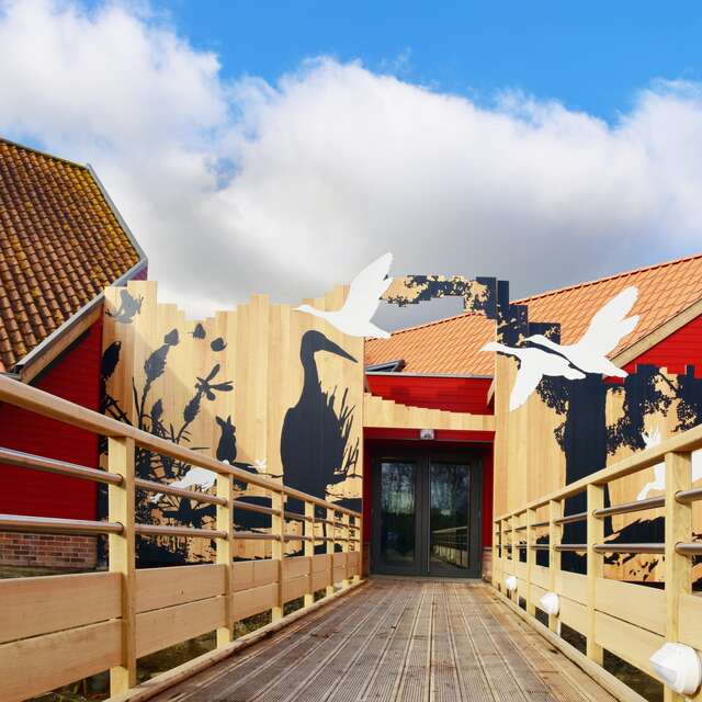 ANIMATIONS | DÉCOUVREZ LE CLUB NATURE D'EDEN 62