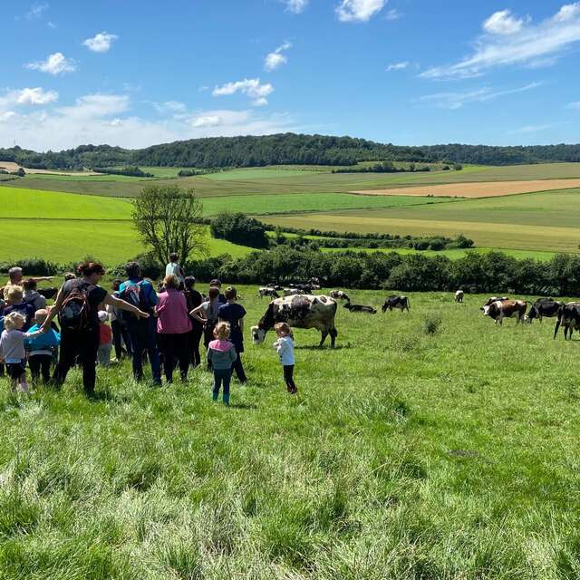 La Ferme du Mont Vert