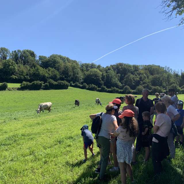 ANIMATION | PAYS DE LUMBRES : RANDO À LA FERME