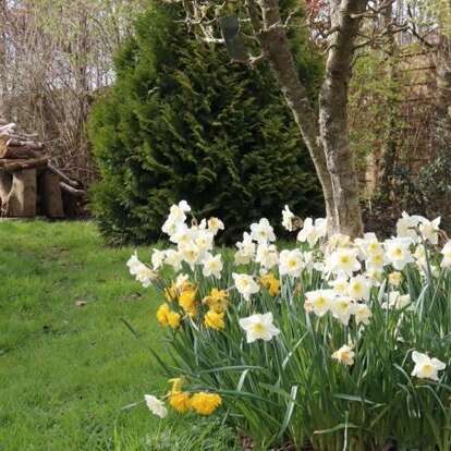 VISITE GUIDÉE | "Rendez-vous au Jardin" au Jardin de Marike