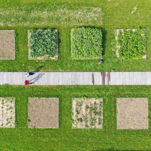 Potager Conservatoire