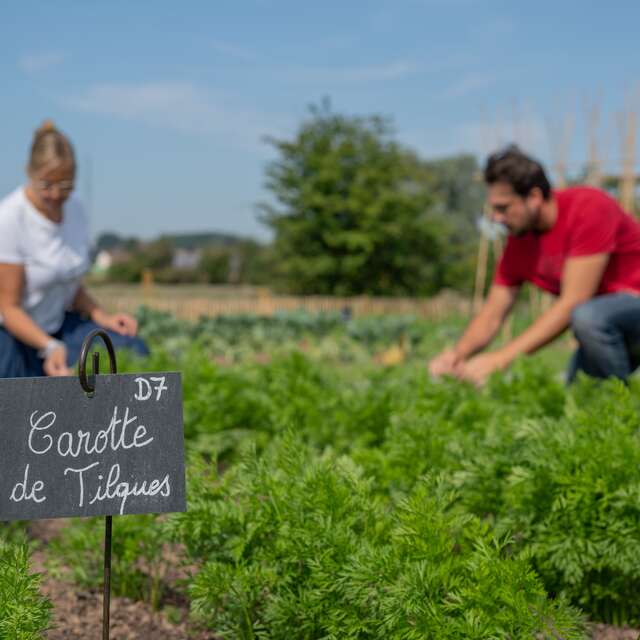 ATELIER | Les petites mains verte (6-10ans)