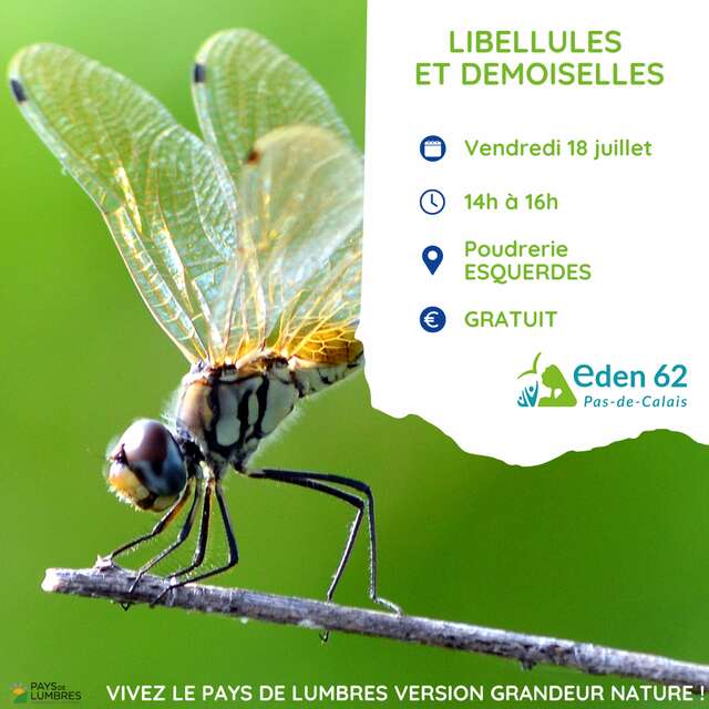 SORTIE NATURE | "Libellules et Demoiselles"