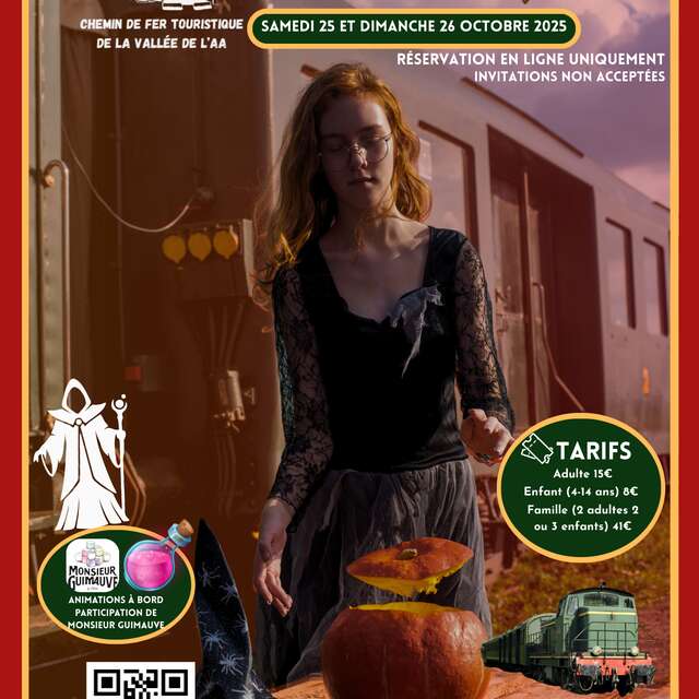 TRAIN TOURISTIQUE | Le Train des sorciers