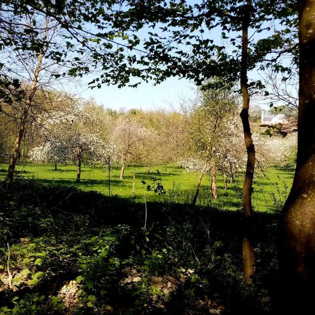 Les Vergers de l'Escapade