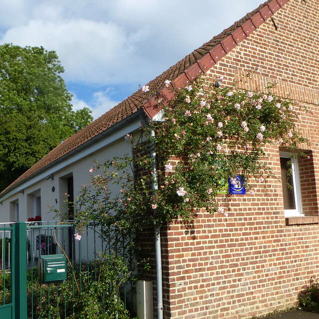 L'alouette des champs