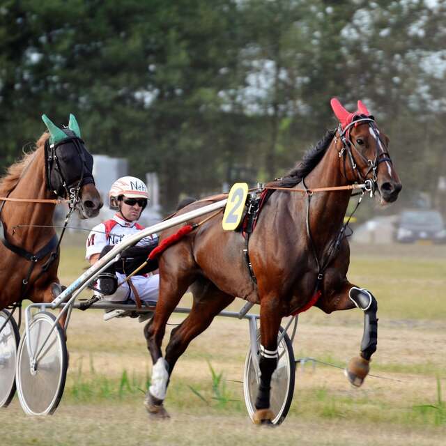 SPORT | Course hippique à l'hippodrome des Bruyères