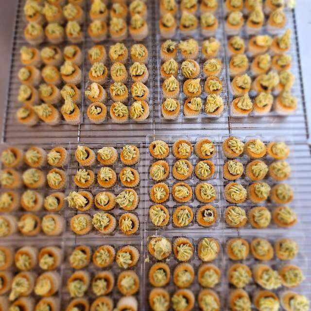 Les escargots du marais