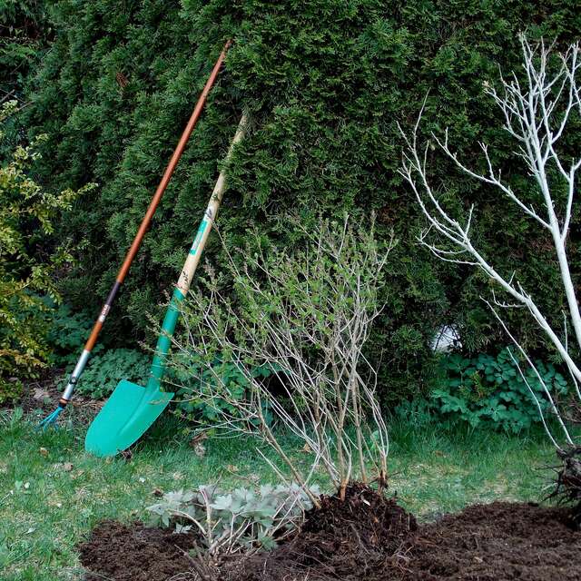 Atelier jardin "Permaculture" à Enerlya