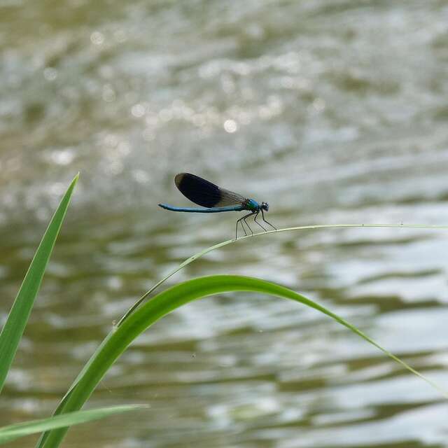 ATELIER | Atelier scientifique (dès 8 ans)