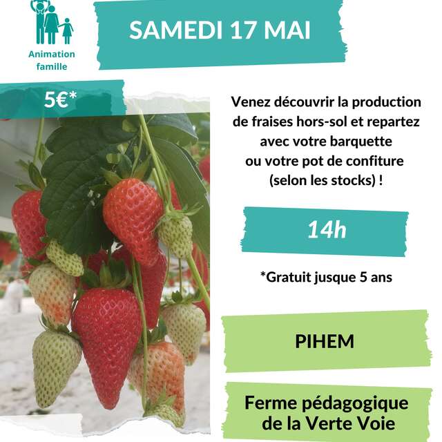 VISITE GUIDÉE | À la découverte de la fraiseraie