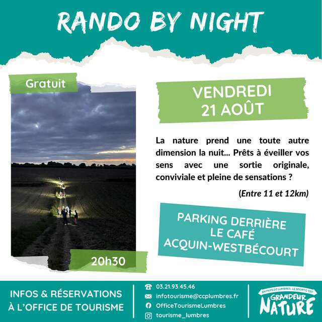 ANIMATION | Rando by night