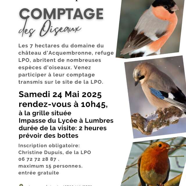 ANIMATION | Comptage des oiseaux au château d'Acquembronne
