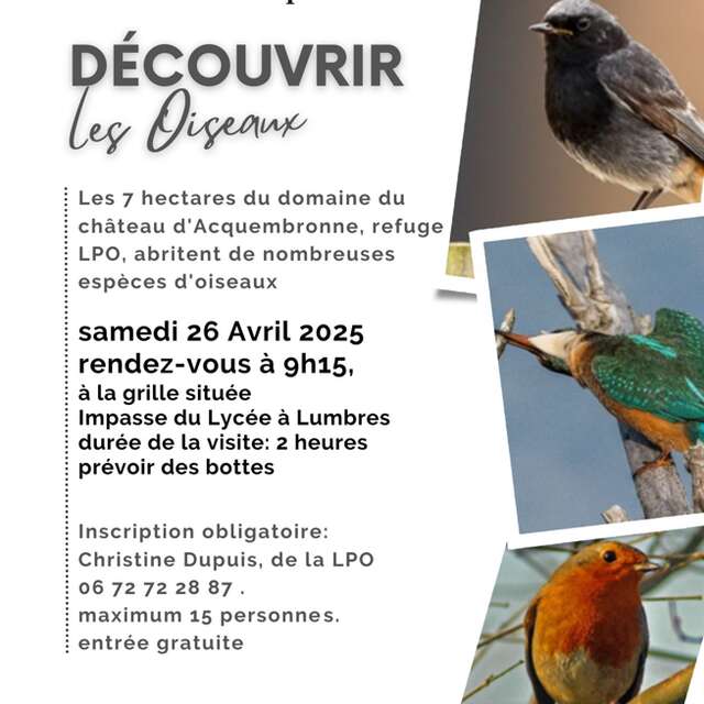 ANIMATION | Découvrir les oiseaux au château d'Acquembronne