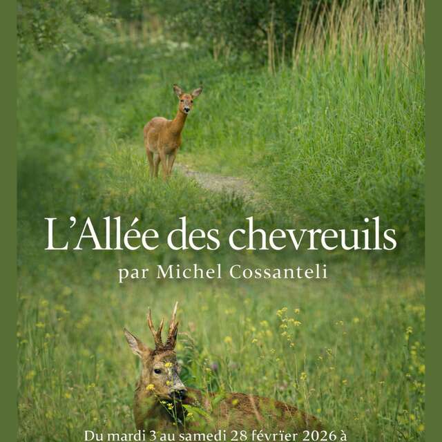 EXPO | "L'Allée des Chevreuils" par Michel Cossanteli