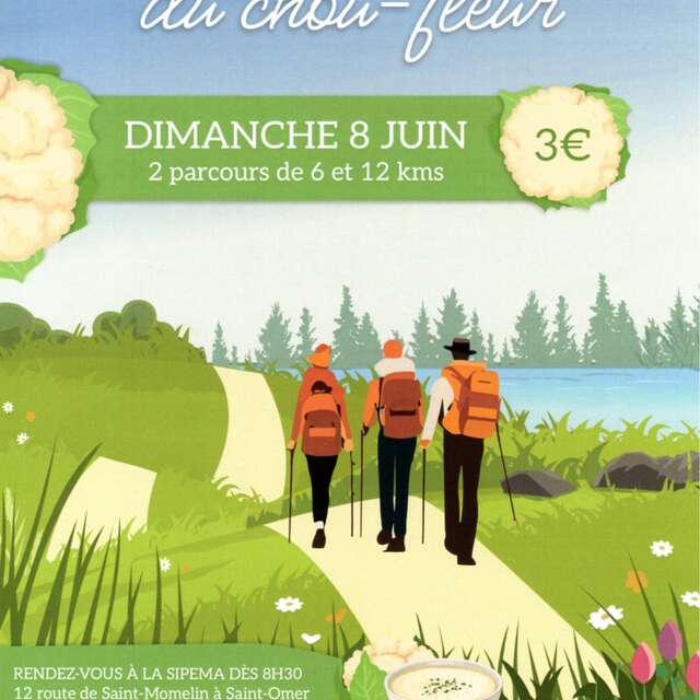 RANDO | "La Randonnée du Chou-fleur" de la Confrérie du chou-fleur de Saint-Omer