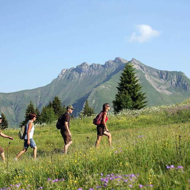 Le Grand Tour du Mont-Chéry  et variante