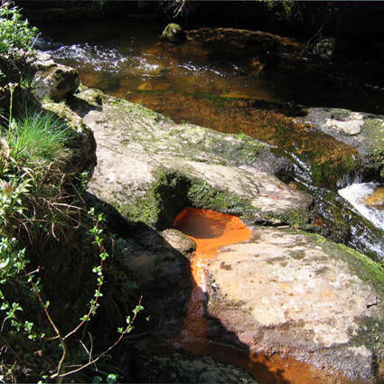 Source ferrugineuse de la Fontfort
