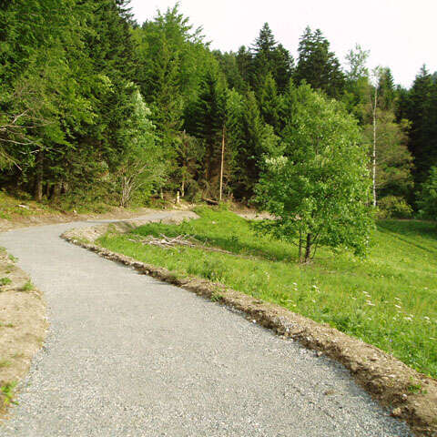 Le sentier des arbres à sons à Prémol