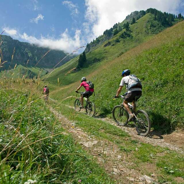 Graydon par la Télécabine - VTT
