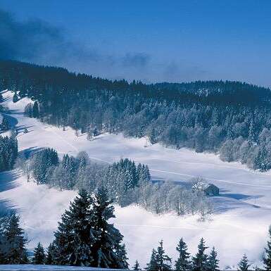 Ski de fond à Belleydoux
