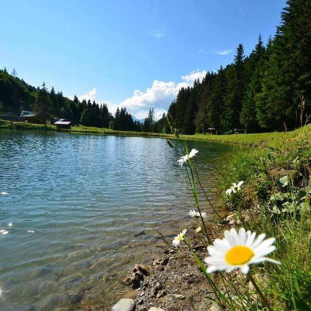 Pêche au lac du Plan dessert