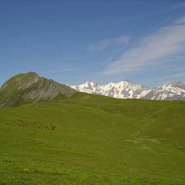 Le Véry pass