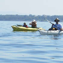 Port des Clerges - Base Nautique