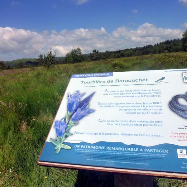 Baracuchet peat bog