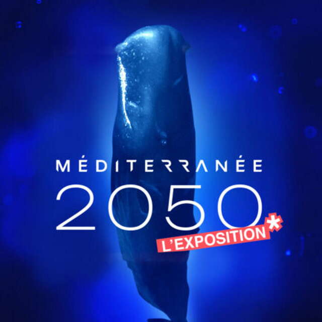 Exposition "Méditerranée 2050"