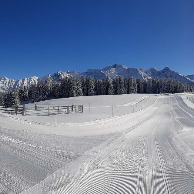 EVENEMENT ANNULE ET REPORTE ULTERIEUREMENT - L'espace nordique du Barioz fête ses 50 ans