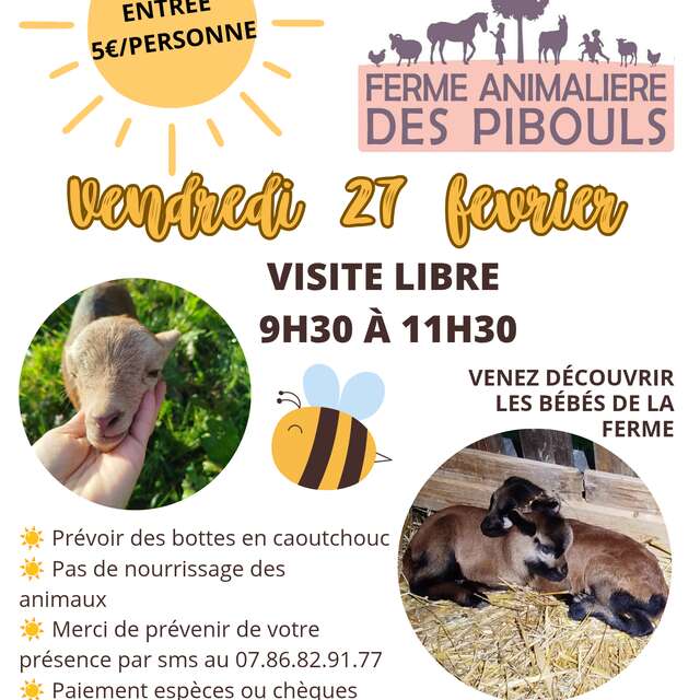 Self-guided tour of the farm